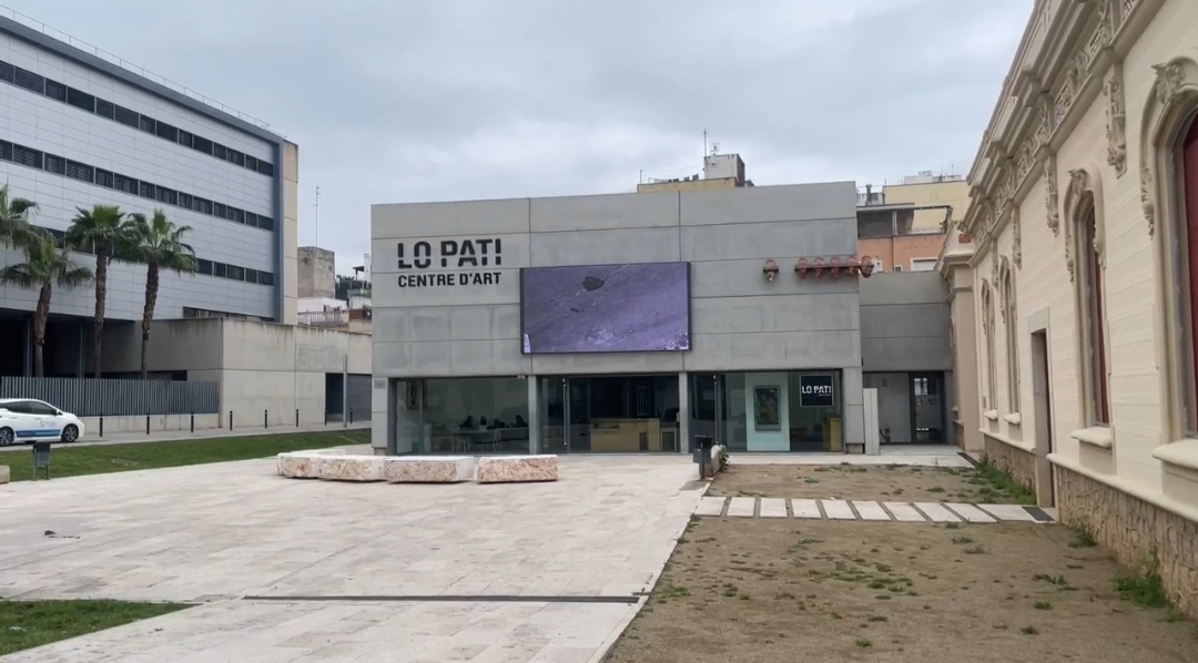 Projecte: Habitar el present